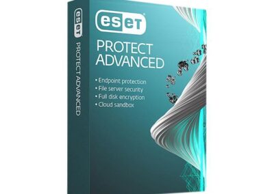 ESET Business Products