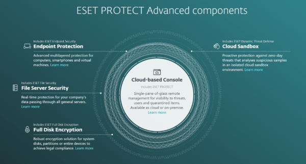 ESET Protect Advanced - Contents